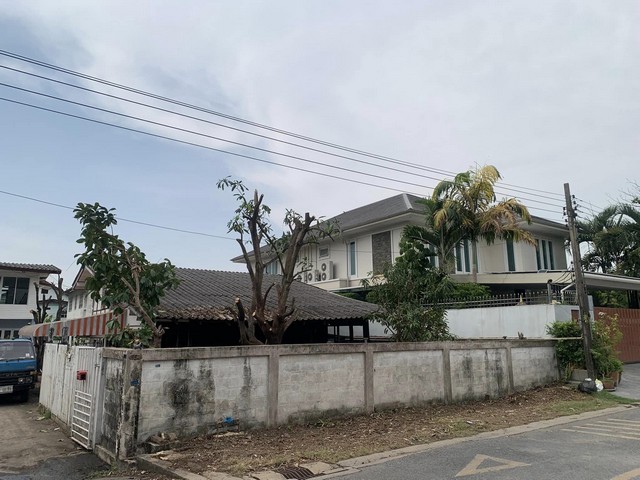 ประกาศฟรี! ซื้อ-ขาย-เช่า คอนโด บ้าน ทาวน์โฮม ที่ดิน และพื้นที่เชิงพาณิชย์ทั่วประเทศไทย ทุกทำเล ทุกงบประมาณ ไม่มีค่าใช้จ่าย ลงง่าย ขายไว เข้าถึงผู้ซื้อโดยตรง 3 276659pic2.jpg