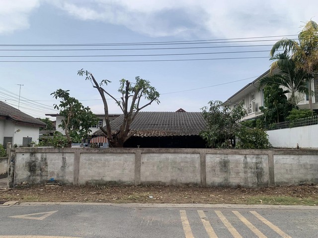 ประกาศฟรี! ซื้อ-ขาย-เช่า คอนโด บ้าน ทาวน์โฮม ที่ดิน และพื้นที่เชิงพาณิชย์ทั่วประเทศไทย ทุกทำเล ทุกงบประมาณ ไม่มีค่าใช้จ่าย ลงง่าย ขายไว เข้าถึงผู้ซื้อโดยตรง 4 276659pic3.jpg