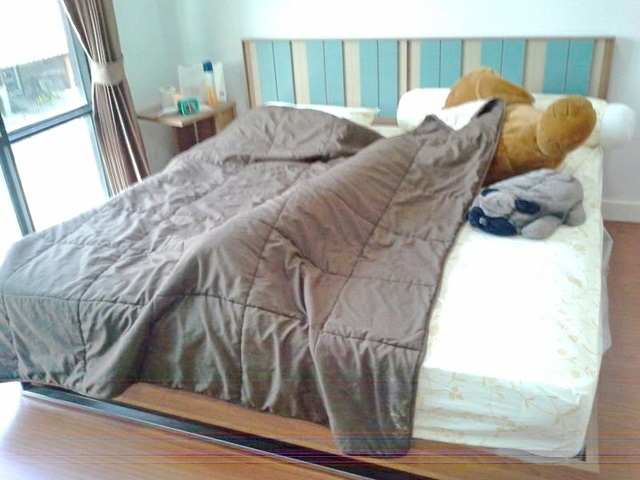 ประกาศฟรี! ซื้อ-ขาย-เช่า คอนโด บ้าน ทาวน์โฮม ที่ดิน และพื้นที่เชิงพาณิชย์ทั่วประเทศไทย ทุกทำเล ทุกงบประมาณ ไม่มีค่าใช้จ่าย ลงง่าย ขายไว เข้าถึงผู้ซื้อโดยตรง 4 172268pic3.jpg