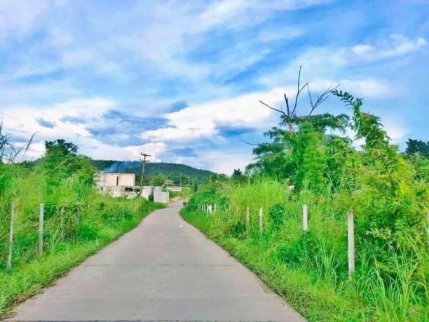 ประกาศฟรี! ซื้อ-ขาย-เช่า คอนโด บ้าน ทาวน์โฮม ที่ดิน และพื้นที่เชิงพาณิชย์ทั่วประเทศไทย ทุกทำเล ทุกงบประมาณ ไม่มีค่าใช้จ่าย ลงง่าย ขายไว เข้าถึงผู้ซื้อโดยตรง 2 172403pic1.jpg