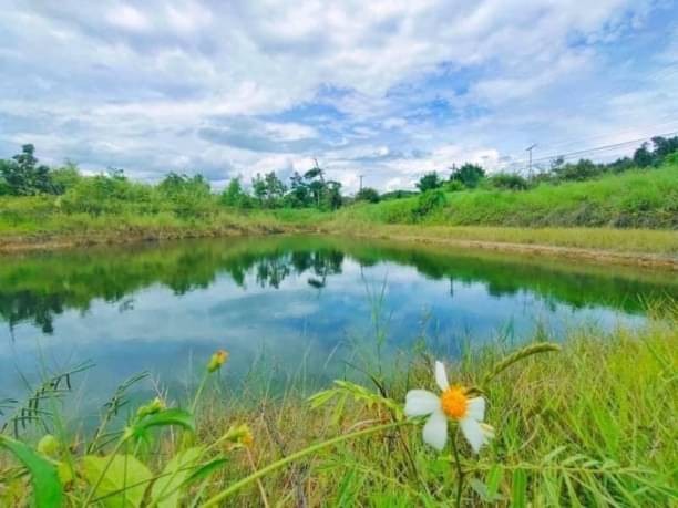 ประกาศฟรี! ซื้อ-ขาย-เช่า คอนโด บ้าน ทาวน์โฮม ที่ดิน และพื้นที่เชิงพาณิชย์ทั่วประเทศไทย ทุกทำเล ทุกงบประมาณ ไม่มีค่าใช้จ่าย ลงง่าย ขายไว เข้าถึงผู้ซื้อโดยตรง 3 172403pic2.jpg