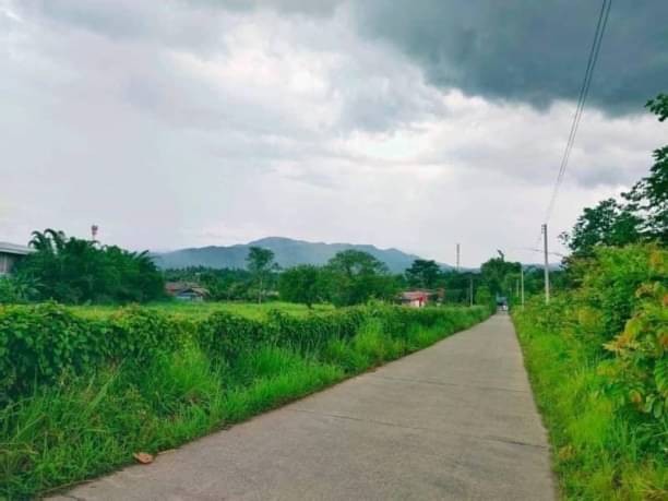 ประกาศฟรี! ซื้อ-ขาย-เช่า คอนโด บ้าน ทาวน์โฮม ที่ดิน และพื้นที่เชิงพาณิชย์ทั่วประเทศไทย ทุกทำเล ทุกงบประมาณ ไม่มีค่าใช้จ่าย ลงง่าย ขายไว เข้าถึงผู้ซื้อโดยตรง 4 172403pic3.jpg