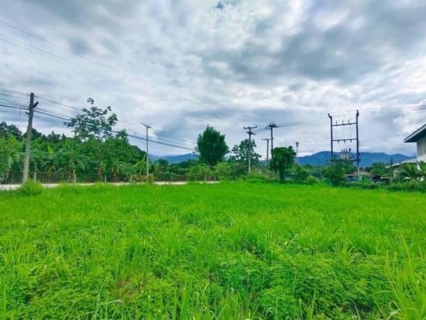 ประกาศฟรี! ซื้อ-ขาย-เช่า คอนโด บ้าน ทาวน์โฮม ที่ดิน และพื้นที่เชิงพาณิชย์ทั่วประเทศไทย ทุกทำเล ทุกงบประมาณ ไม่มีค่าใช้จ่าย ลงง่าย ขายไว เข้าถึงผู้ซื้อโดยตรง 5 172403pic4.jpg