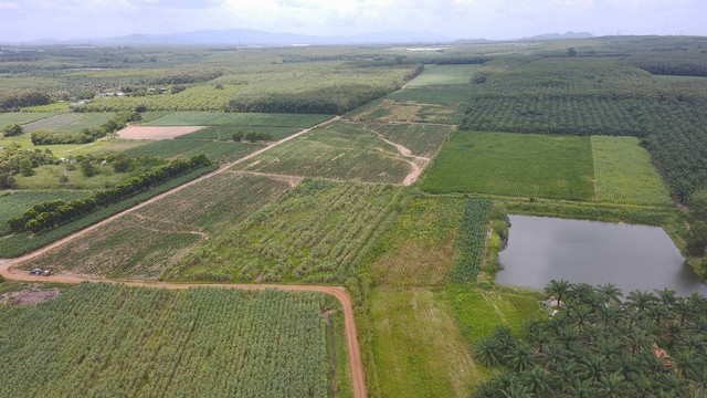 ประกาศฟรี! ซื้อ-ขาย-เช่า คอนโด บ้าน ทาวน์โฮม ที่ดิน และพื้นที่เชิงพาณิชย์ทั่วประเทศไทย ทุกทำเล ทุกงบประมาณ ไม่มีค่าใช้จ่าย ลงง่าย ขายไว เข้าถึงผู้ซื้อโดยตรง 3 172457pic2.jpg