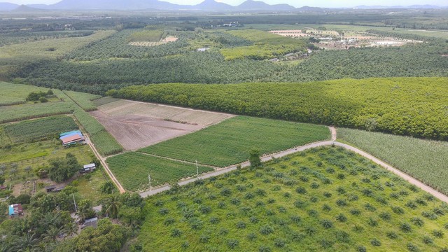 ประกาศฟรี! ซื้อ-ขาย-เช่า คอนโด บ้าน ทาวน์โฮม ที่ดิน และพื้นที่เชิงพาณิชย์ทั่วประเทศไทย ทุกทำเล ทุกงบประมาณ ไม่มีค่าใช้จ่าย ลงง่าย ขายไว เข้าถึงผู้ซื้อโดยตรง 4 172457pic3.jpg