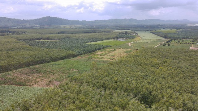 ประกาศฟรี! ซื้อ-ขาย-เช่า คอนโด บ้าน ทาวน์โฮม ที่ดิน และพื้นที่เชิงพาณิชย์ทั่วประเทศไทย ทุกทำเล ทุกงบประมาณ ไม่มีค่าใช้จ่าย ลงง่าย ขายไว เข้าถึงผู้ซื้อโดยตรง 5 172457pic4.jpg