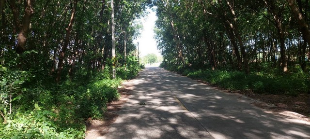 ประกาศฟรี! ซื้อ-ขาย-เช่า คอนโด บ้าน ทาวน์โฮม ที่ดิน และพื้นที่เชิงพาณิชย์ทั่วประเทศไทย ทุกทำเล ทุกงบประมาณ ไม่มีค่าใช้จ่าย ลงง่าย ขายไว เข้าถึงผู้ซื้อโดยตรง 4 172321pic3.jpg