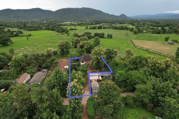 ประกาศฟรี! ซื้อ-ขาย-เช่า คอนโด บ้าน ทาวน์โฮม ที่ดิน และพื้นที่เชิงพาณิชย์ทั่วประเทศไทย ทุกทำเล ทุกงบประมาณ ไม่มีค่าใช้จ่าย ลงง่าย ขายไว เข้าถึงผู้ซื้อโดยตรง 2 172476pic1.jpg