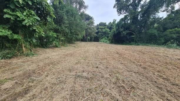 ประกาศฟรี! ซื้อ-ขาย-เช่า คอนโด บ้าน ทาวน์โฮม ที่ดิน และพื้นที่เชิงพาณิชย์ทั่วประเทศไทย ทุกทำเล ทุกงบประมาณ ไม่มีค่าใช้จ่าย ลงง่าย ขายไว เข้าถึงผู้ซื้อโดยตรง 2 172464pic1.jpg