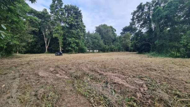 ประกาศฟรี! ซื้อ-ขาย-เช่า คอนโด บ้าน ทาวน์โฮม ที่ดิน และพื้นที่เชิงพาณิชย์ทั่วประเทศไทย ทุกทำเล ทุกงบประมาณ ไม่มีค่าใช้จ่าย ลงง่าย ขายไว เข้าถึงผู้ซื้อโดยตรง 3 172464pic2.jpg