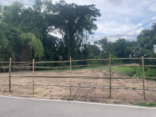 ประกาศฟรี! ซื้อ-ขาย-เช่า คอนโด บ้าน ทาวน์โฮม ที่ดิน และพื้นที่เชิงพาณิชย์ทั่วประเทศไทย ทุกทำเล ทุกงบประมาณ ไม่มีค่าใช้จ่าย ลงง่าย ขายไว เข้าถึงผู้ซื้อโดยตรง 3 172462pic2.jpg