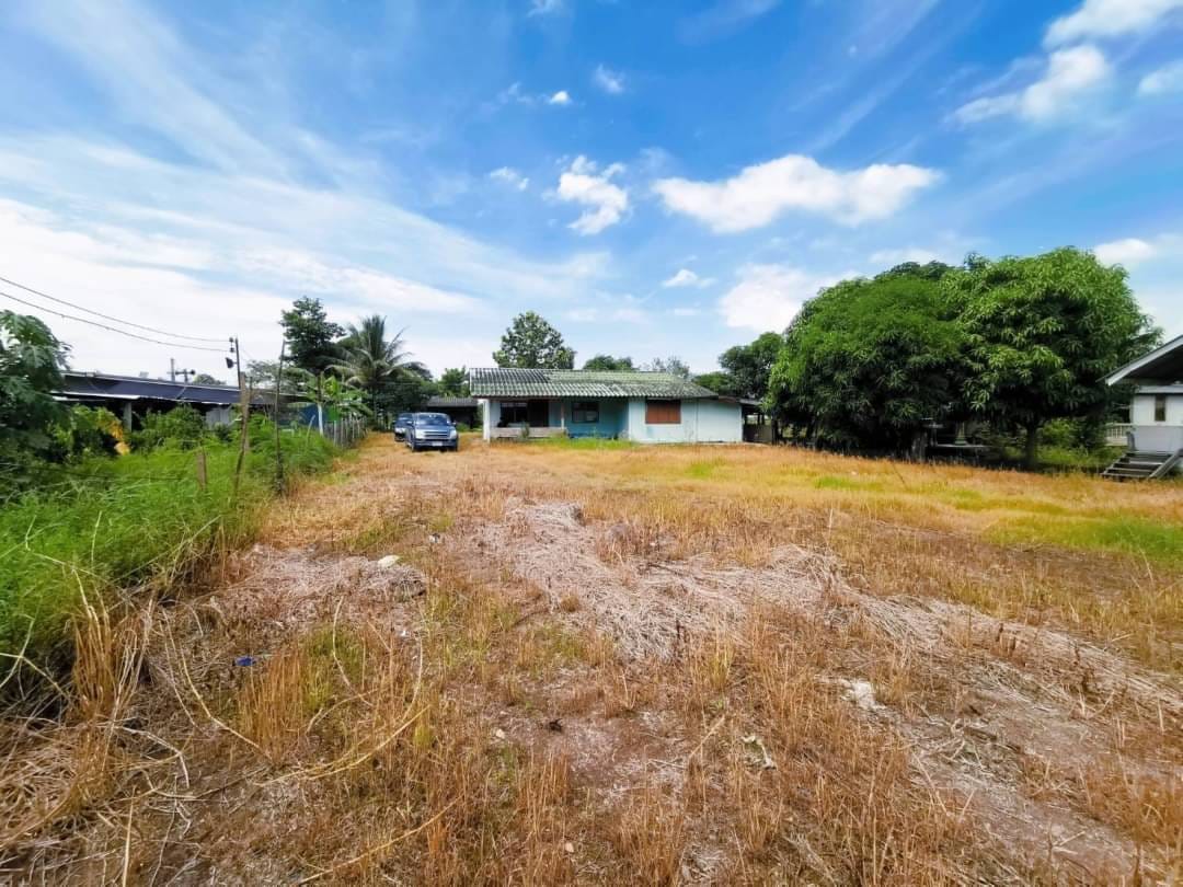 ประกาศฟรี! ซื้อ-ขาย-เช่า คอนโด บ้าน ทาวน์โฮม ที่ดิน และพื้นที่เชิงพาณิชย์ทั่วประเทศไทย ทุกทำเล ทุกงบประมาณ ไม่มีค่าใช้จ่าย ลงง่าย ขายไว เข้าถึงผู้ซื้อโดยตรง 3 172536pic2.jpg