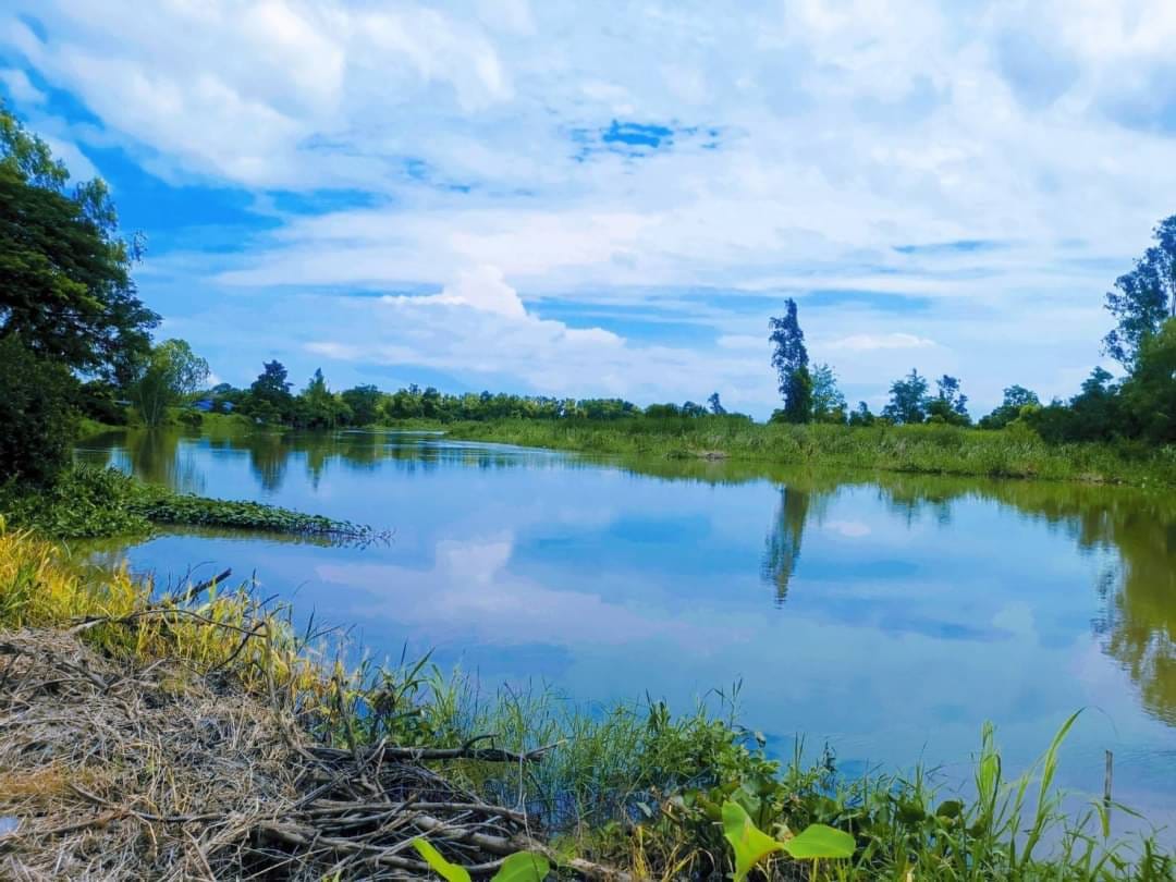 ประกาศฟรี! ซื้อ-ขาย-เช่า คอนโด บ้าน ทาวน์โฮม ที่ดิน และพื้นที่เชิงพาณิชย์ทั่วประเทศไทย ทุกทำเล ทุกงบประมาณ ไม่มีค่าใช้จ่าย ลงง่าย ขายไว เข้าถึงผู้ซื้อโดยตรง 4 172536pic3.jpg