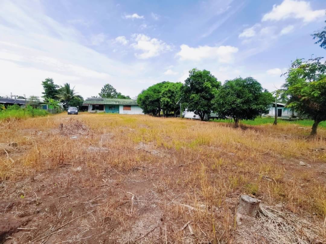 ประกาศฟรี! ซื้อ-ขาย-เช่า คอนโด บ้าน ทาวน์โฮม ที่ดิน และพื้นที่เชิงพาณิชย์ทั่วประเทศไทย ทุกทำเล ทุกงบประมาณ ไม่มีค่าใช้จ่าย ลงง่าย ขายไว เข้าถึงผู้ซื้อโดยตรง 5 172536pic4.jpg