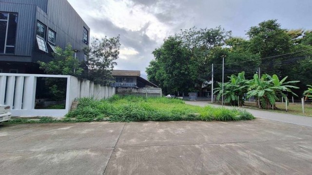 ประกาศฟรี! ซื้อ-ขาย-เช่า คอนโด บ้าน ทาวน์โฮม ที่ดิน และพื้นที่เชิงพาณิชย์ทั่วประเทศไทย ทุกทำเล ทุกงบประมาณ ไม่มีค่าใช้จ่าย ลงง่าย ขายไว เข้าถึงผู้ซื้อโดยตรง 4 172557pic3.jpg