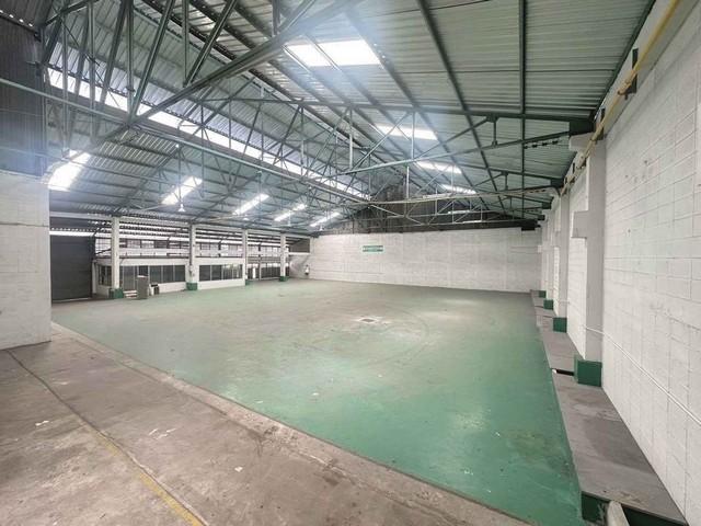 ประกาศฟรี! ซื้อ-ขาย-เช่า คอนโด บ้าน ทาวน์โฮม ที่ดิน และพื้นที่เชิงพาณิชย์ทั่วประเทศไทย ทุกทำเล ทุกงบประมาณ ไม่มีค่าใช้จ่าย ลงง่าย ขายไว เข้าถึงผู้ซื้อโดยตรง 2 476130pic1.jpg