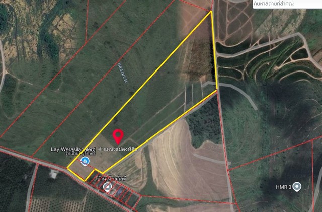 ประกาศฟรี! ซื้อ-ขาย-เช่า คอนโด บ้าน ทาวน์โฮม ที่ดิน และพื้นที่เชิงพาณิชย์ทั่วประเทศไทย ทุกทำเล ทุกงบประมาณ ไม่มีค่าใช้จ่าย ลงง่าย ขายไว เข้าถึงผู้ซื้อโดยตรง 2 172977pic1.jpg