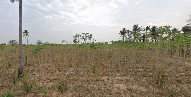 ประกาศฟรี! ซื้อ-ขาย-เช่า คอนโด บ้าน ทาวน์โฮม ที่ดิน และพื้นที่เชิงพาณิชย์ทั่วประเทศไทย ทุกทำเล ทุกงบประมาณ ไม่มีค่าใช้จ่าย ลงง่าย ขายไว เข้าถึงผู้ซื้อโดยตรง 5 172977pic4.jpg