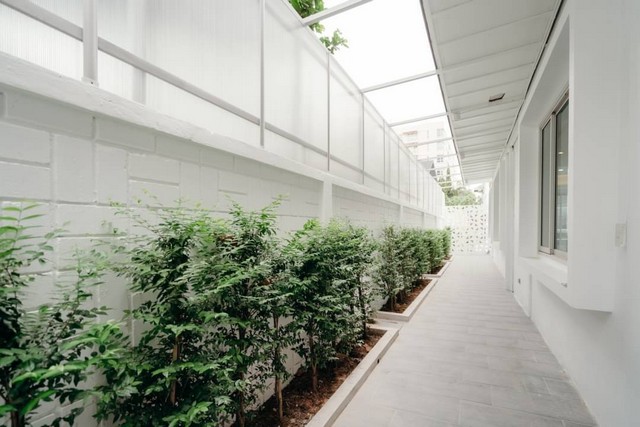 ประกาศฟรี! ซื้อ-ขาย-เช่า คอนโด บ้าน ทาวน์โฮม ที่ดิน และพื้นที่เชิงพาณิชย์ทั่วประเทศไทย ทุกทำเล ทุกงบประมาณ ไม่มีค่าใช้จ่าย ลงง่าย ขายไว เข้าถึงผู้ซื้อโดยตรง 4 476222pic3.jpg