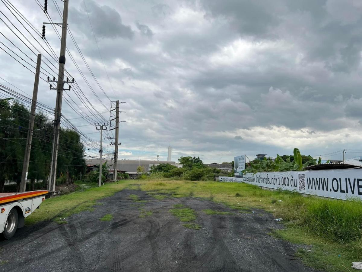 ประกาศฟรี! ซื้อ-ขาย-เช่า คอนโด บ้าน ทาวน์โฮม ที่ดิน และพื้นที่เชิงพาณิชย์ทั่วประเทศไทย ทุกทำเล ทุกงบประมาณ ไม่มีค่าใช้จ่าย ลงง่าย ขายไว เข้าถึงผู้ซื้อโดยตรง 4 173037pic3.jpg