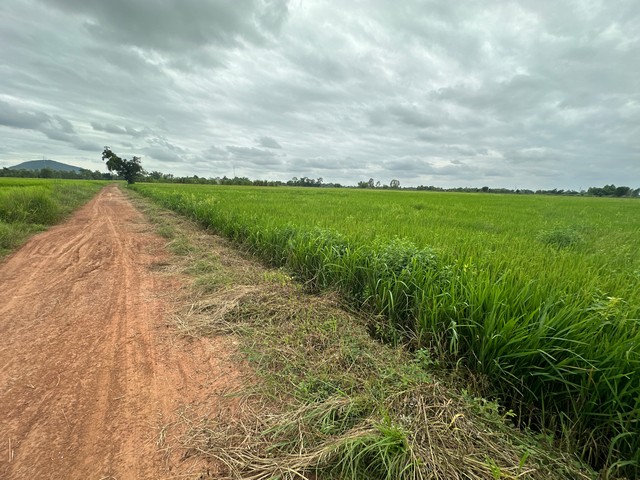 ประกาศฟรี! ซื้อ-ขาย-เช่า คอนโด บ้าน ทาวน์โฮม ที่ดิน และพื้นที่เชิงพาณิชย์ทั่วประเทศไทย ทุกทำเล ทุกงบประมาณ ไม่มีค่าใช้จ่าย ลงง่าย ขายไว เข้าถึงผู้ซื้อโดยตรง 2 22492pic1.jpg