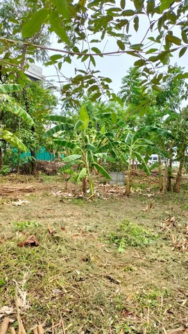 ประกาศฟรี! ซื้อ-ขาย-เช่า คอนโด บ้าน ทาวน์โฮม ที่ดิน และพื้นที่เชิงพาณิชย์ทั่วประเทศไทย ทุกทำเล ทุกงบประมาณ ไม่มีค่าใช้จ่าย ลงง่าย ขายไว เข้าถึงผู้ซื้อโดยตรง 4 276777pic3.jpg