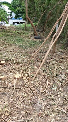 ประกาศฟรี! ซื้อ-ขาย-เช่า คอนโด บ้าน ทาวน์โฮม ที่ดิน และพื้นที่เชิงพาณิชย์ทั่วประเทศไทย ทุกทำเล ทุกงบประมาณ ไม่มีค่าใช้จ่าย ลงง่าย ขายไว เข้าถึงผู้ซื้อโดยตรง 5 276777pic4.jpg