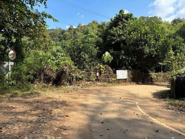 ประกาศฟรี! ซื้อ-ขาย-เช่า คอนโด บ้าน ทาวน์โฮม ที่ดิน และพื้นที่เชิงพาณิชย์ทั่วประเทศไทย ทุกทำเล ทุกงบประมาณ ไม่มีค่าใช้จ่าย ลงง่าย ขายไว เข้าถึงผู้ซื้อโดยตรง 2 173278pic1.jpg