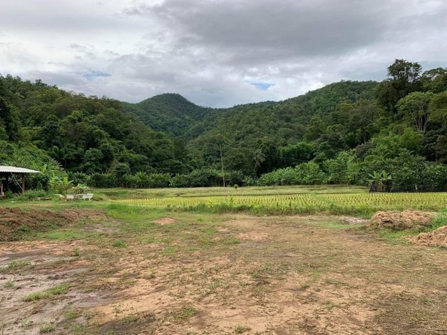 ประกาศฟรี! ซื้อ-ขาย-เช่า คอนโด บ้าน ทาวน์โฮม ที่ดิน และพื้นที่เชิงพาณิชย์ทั่วประเทศไทย ทุกทำเล ทุกงบประมาณ ไม่มีค่าใช้จ่าย ลงง่าย ขายไว เข้าถึงผู้ซื้อโดยตรง 3 173278pic2.jpg