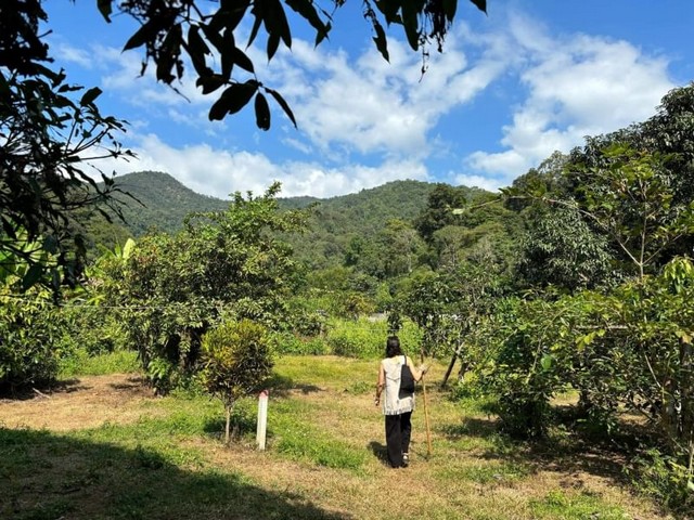 ประกาศฟรี! ซื้อ-ขาย-เช่า คอนโด บ้าน ทาวน์โฮม ที่ดิน และพื้นที่เชิงพาณิชย์ทั่วประเทศไทย ทุกทำเล ทุกงบประมาณ ไม่มีค่าใช้จ่าย ลงง่าย ขายไว เข้าถึงผู้ซื้อโดยตรง 5 173278pic4.jpg