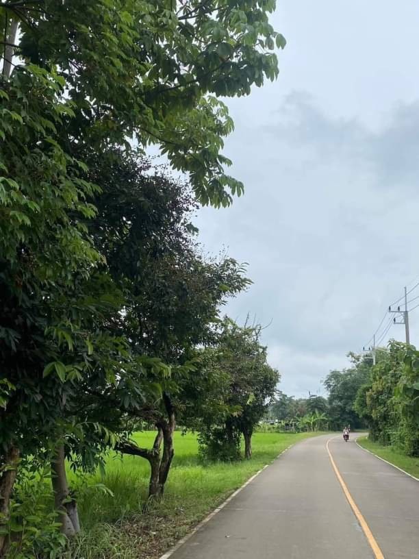 ประกาศฟรี! ซื้อ-ขาย-เช่า คอนโด บ้าน ทาวน์โฮม ที่ดิน และพื้นที่เชิงพาณิชย์ทั่วประเทศไทย ทุกทำเล ทุกงบประมาณ ไม่มีค่าใช้จ่าย ลงง่าย ขายไว เข้าถึงผู้ซื้อโดยตรง 2 173290pic1.jpg