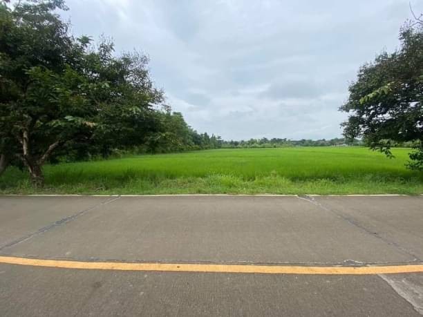 ประกาศฟรี! ซื้อ-ขาย-เช่า คอนโด บ้าน ทาวน์โฮม ที่ดิน และพื้นที่เชิงพาณิชย์ทั่วประเทศไทย ทุกทำเล ทุกงบประมาณ ไม่มีค่าใช้จ่าย ลงง่าย ขายไว เข้าถึงผู้ซื้อโดยตรง 3 173290pic2.jpg