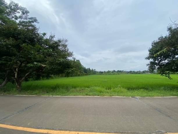 ประกาศฟรี! ซื้อ-ขาย-เช่า คอนโด บ้าน ทาวน์โฮม ที่ดิน และพื้นที่เชิงพาณิชย์ทั่วประเทศไทย ทุกทำเล ทุกงบประมาณ ไม่มีค่าใช้จ่าย ลงง่าย ขายไว เข้าถึงผู้ซื้อโดยตรง 4 173290pic3.jpg