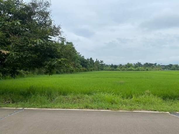 ประกาศฟรี! ซื้อ-ขาย-เช่า คอนโด บ้าน ทาวน์โฮม ที่ดิน และพื้นที่เชิงพาณิชย์ทั่วประเทศไทย ทุกทำเล ทุกงบประมาณ ไม่มีค่าใช้จ่าย ลงง่าย ขายไว เข้าถึงผู้ซื้อโดยตรง 5 173290pic4.jpg