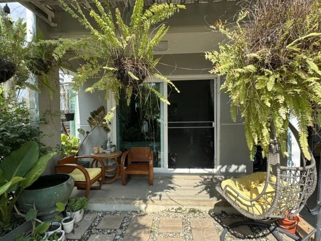 ประกาศฟรี! ซื้อ-ขาย-เช่า คอนโด บ้าน ทาวน์โฮม ที่ดิน และพื้นที่เชิงพาณิชย์ทั่วประเทศไทย ทุกทำเล ทุกงบประมาณ ไม่มีค่าใช้จ่าย ลงง่าย ขายไว เข้าถึงผู้ซื้อโดยตรง 4 173398pic3.jpg