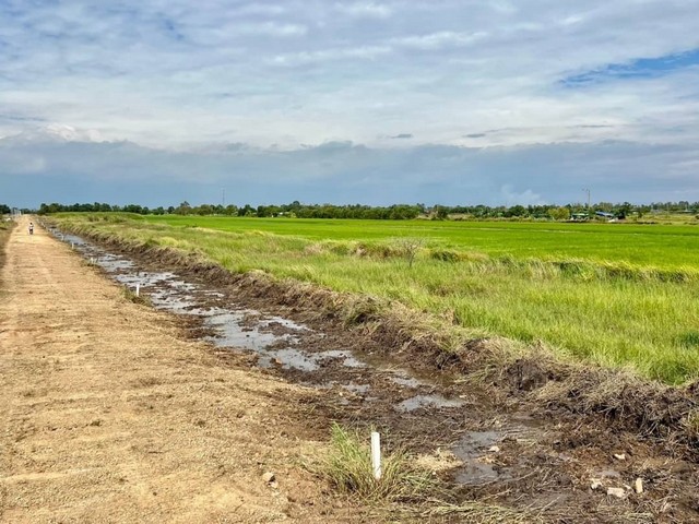 ประกาศฟรี! ซื้อ-ขาย-เช่า คอนโด บ้าน ทาวน์โฮม ที่ดิน และพื้นที่เชิงพาณิชย์ทั่วประเทศไทย ทุกทำเล ทุกงบประมาณ ไม่มีค่าใช้จ่าย ลงง่าย ขายไว เข้าถึงผู้ซื้อโดยตรง 3 173490pic2.jpg