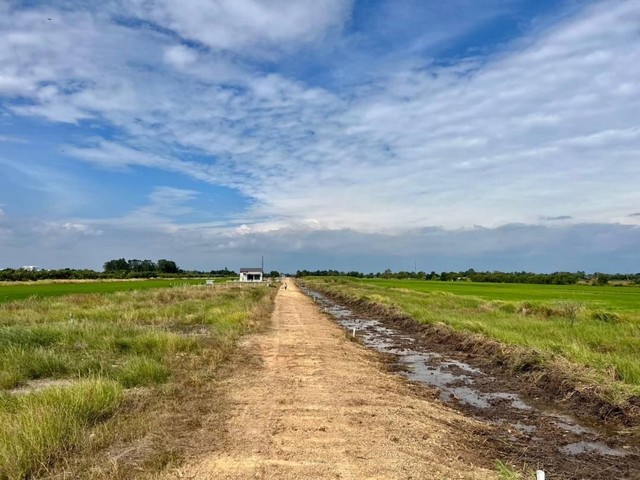 ประกาศฟรี! ซื้อ-ขาย-เช่า คอนโด บ้าน ทาวน์โฮม ที่ดิน และพื้นที่เชิงพาณิชย์ทั่วประเทศไทย ทุกทำเล ทุกงบประมาณ ไม่มีค่าใช้จ่าย ลงง่าย ขายไว เข้าถึงผู้ซื้อโดยตรง 5 173490pic4.jpg