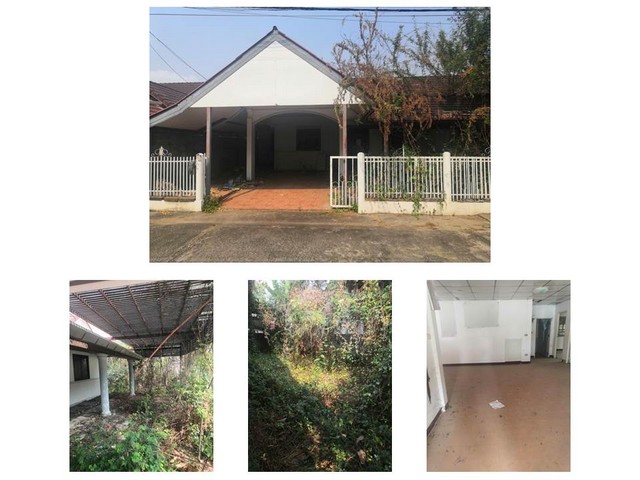 ประกาศฟรี! ซื้อ-ขาย-เช่า คอนโด บ้าน ทาวน์โฮม ที่ดิน และพื้นที่เชิงพาณิชย์ทั่วประเทศไทย ทุกทำเล ทุกงบประมาณ ไม่มีค่าใช้จ่าย ลงง่าย ขายไว เข้าถึงผู้ซื้อโดยตรง 5 173533pic4.jpg