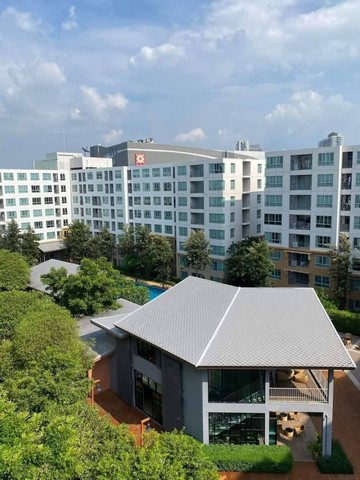 ประกาศฟรี! ซื้อ-ขาย-เช่า คอนโด บ้าน ทาวน์โฮม ที่ดิน และพื้นที่เชิงพาณิชย์ทั่วประเทศไทย ทุกทำเล ทุกงบประมาณ ไม่มีค่าใช้จ่าย ลงง่าย ขายไว เข้าถึงผู้ซื้อโดยตรง 2 173607pic1.jpg