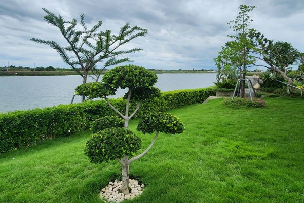 ประกาศฟรี! ซื้อ-ขาย-เช่า คอนโด บ้าน ทาวน์โฮม ที่ดิน และพื้นที่เชิงพาณิชย์ทั่วประเทศไทย ทุกทำเล ทุกงบประมาณ ไม่มีค่าใช้จ่าย ลงง่าย ขายไว เข้าถึงผู้ซื้อโดยตรง 5 167065pic4.jpg