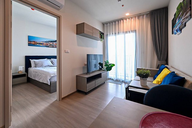 ประกาศฟรี! ซื้อ-ขาย-เช่า คอนโด บ้าน ทาวน์โฮม ที่ดิน และพื้นที่เชิงพาณิชย์ทั่วประเทศไทย ทุกทำเล ทุกงบประมาณ ไม่มีค่าใช้จ่าย ลงง่าย ขายไว เข้าถึงผู้ซื้อโดยตรง 2 173680pic1.jpg