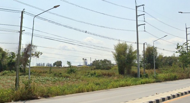 ประกาศฟรี! ซื้อ-ขาย-เช่า คอนโด บ้าน ทาวน์โฮม ที่ดิน และพื้นที่เชิงพาณิชย์ทั่วประเทศไทย ทุกทำเล ทุกงบประมาณ ไม่มีค่าใช้จ่าย ลงง่าย ขายไว เข้าถึงผู้ซื้อโดยตรง 5 173728pic4.jpg