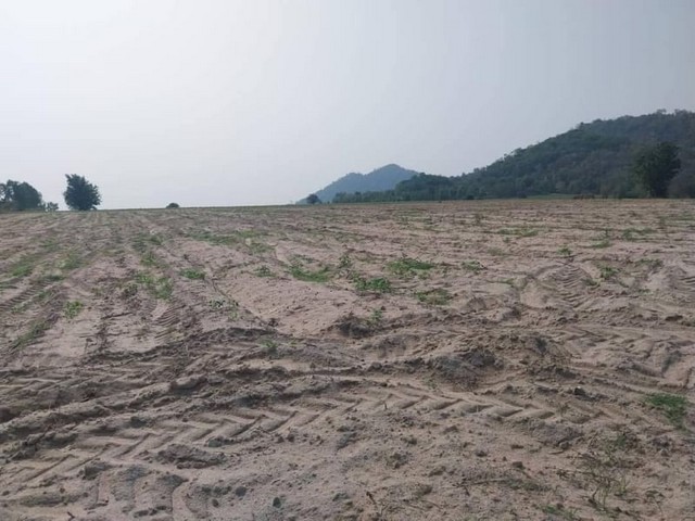 ประกาศฟรี! ซื้อ-ขาย-เช่า คอนโด บ้าน ทาวน์โฮม ที่ดิน และพื้นที่เชิงพาณิชย์ทั่วประเทศไทย ทุกทำเล ทุกงบประมาณ ไม่มีค่าใช้จ่าย ลงง่าย ขายไว เข้าถึงผู้ซื้อโดยตรง 2 22315pic1.jpg