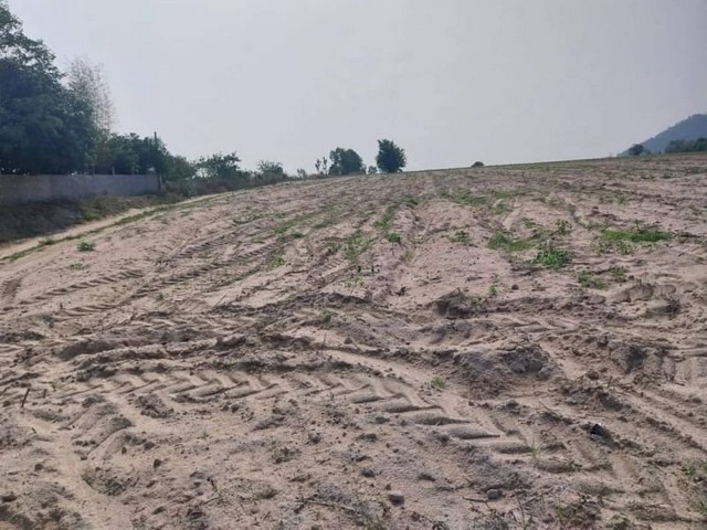 ประกาศฟรี! ซื้อ-ขาย-เช่า คอนโด บ้าน ทาวน์โฮม ที่ดิน และพื้นที่เชิงพาณิชย์ทั่วประเทศไทย ทุกทำเล ทุกงบประมาณ ไม่มีค่าใช้จ่าย ลงง่าย ขายไว เข้าถึงผู้ซื้อโดยตรง 3 22315pic2.jpg