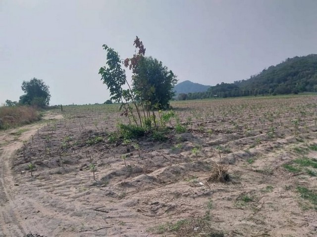 ประกาศฟรี! ซื้อ-ขาย-เช่า คอนโด บ้าน ทาวน์โฮม ที่ดิน และพื้นที่เชิงพาณิชย์ทั่วประเทศไทย ทุกทำเล ทุกงบประมาณ ไม่มีค่าใช้จ่าย ลงง่าย ขายไว เข้าถึงผู้ซื้อโดยตรง 4 22315pic3.jpg