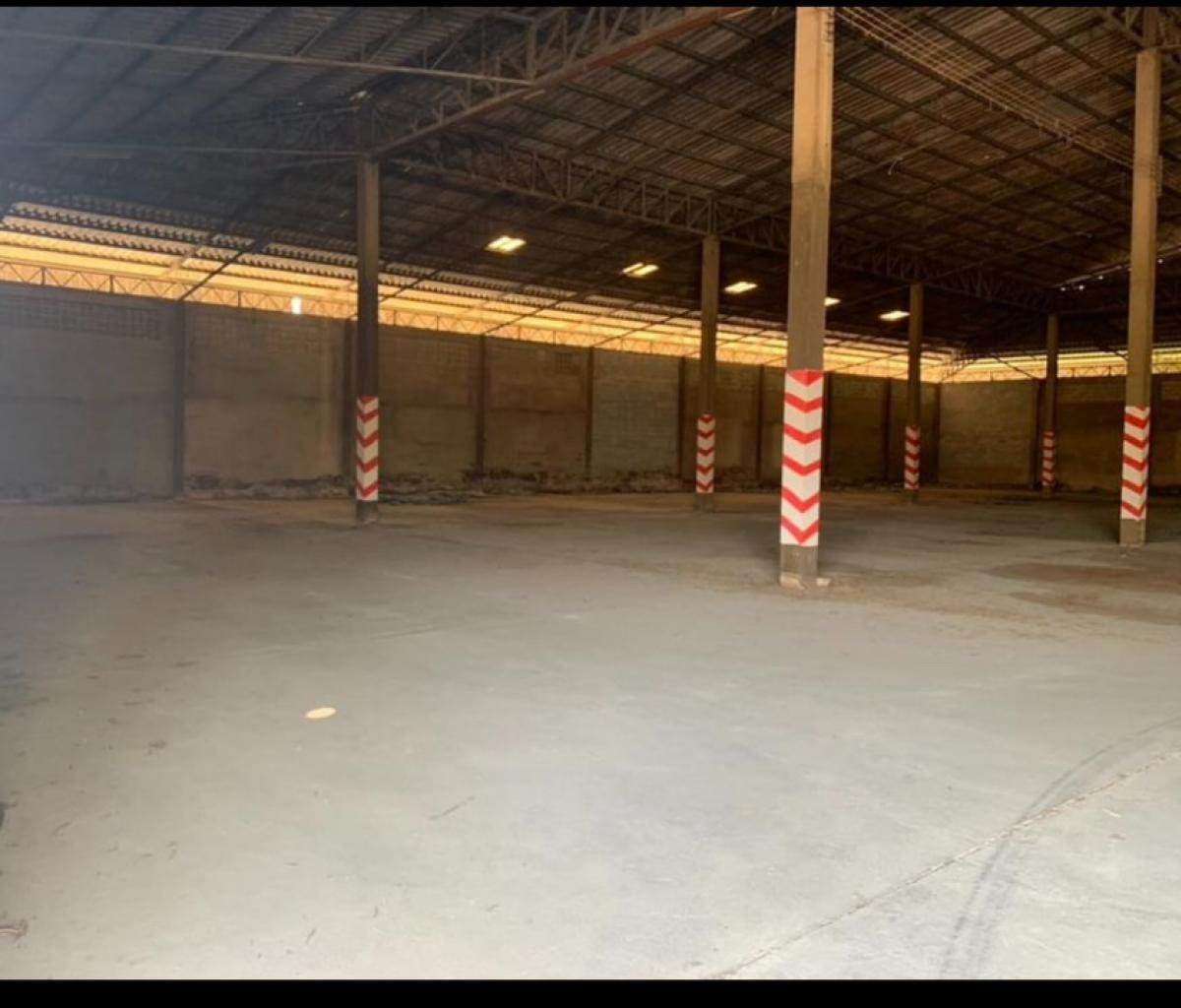 ประกาศฟรี! ซื้อ-ขาย-เช่า คอนโด บ้าน ทาวน์โฮม ที่ดิน และพื้นที่เชิงพาณิชย์ทั่วประเทศไทย ทุกทำเล ทุกงบประมาณ ไม่มีค่าใช้จ่าย ลงง่าย ขายไว เข้าถึงผู้ซื้อโดยตรง 2 166772pic1.jpg