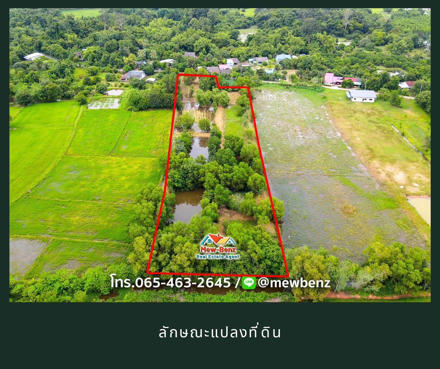 ประกาศฟรี! ซื้อ-ขาย-เช่า คอนโด บ้าน ทาวน์โฮม ที่ดิน และพื้นที่เชิงพาณิชย์ทั่วประเทศไทย ทุกทำเล ทุกงบประมาณ ไม่มีค่าใช้จ่าย ลงง่าย ขายไว เข้าถึงผู้ซื้อโดยตรง 3 22792pic2.jpg