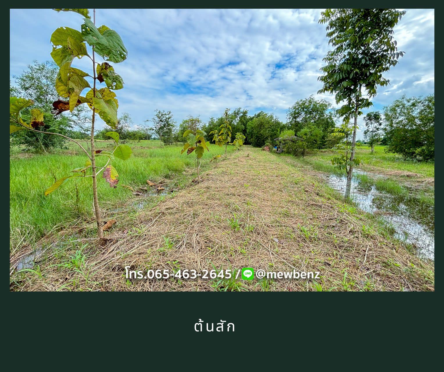 ประกาศฟรี! ซื้อ-ขาย-เช่า คอนโด บ้าน ทาวน์โฮม ที่ดิน และพื้นที่เชิงพาณิชย์ทั่วประเทศไทย ทุกทำเล ทุกงบประมาณ ไม่มีค่าใช้จ่าย ลงง่าย ขายไว เข้าถึงผู้ซื้อโดยตรง 5 22792pic4.jpg