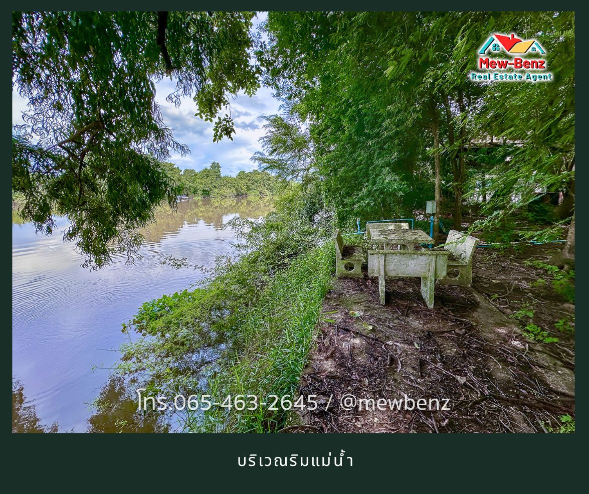 ประกาศฟรี! ซื้อ-ขาย-เช่า คอนโด บ้าน ทาวน์โฮม ที่ดิน และพื้นที่เชิงพาณิชย์ทั่วประเทศไทย ทุกทำเล ทุกงบประมาณ ไม่มีค่าใช้จ่าย ลงง่าย ขายไว เข้าถึงผู้ซื้อโดยตรง 5 22046pic4.jpg