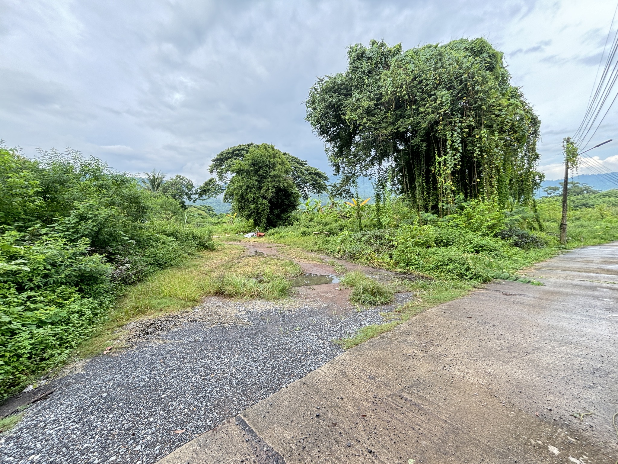 ประกาศฟรี! ซื้อ-ขาย-เช่า คอนโด บ้าน ทาวน์โฮม ที่ดิน และพื้นที่เชิงพาณิชย์ทั่วประเทศไทย ทุกทำเล ทุกงบประมาณ ไม่มีค่าใช้จ่าย ลงง่าย ขายไว เข้าถึงผู้ซื้อโดยตรง 4 22045pic3.jpg